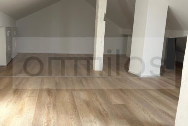 Idéal pour étudiant! Charmant appartement au centre de Fribourg