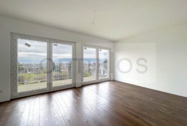 Villa avec vue panoramique imprenable sur le lac