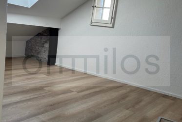 Idéal pour étudiant! Charmant appartement au centre de Fribourg