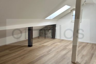 Idéal pour étudiant! Charmant appartement au centre de Fribourg