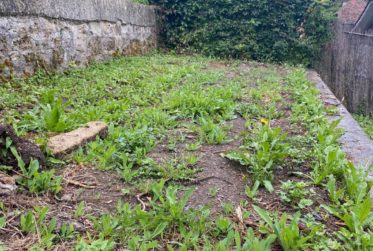 Plus que deux espaces disponibles! Découvrez un jardin, véritable havre de paix, en plein cœur de la ville de Fribourg !