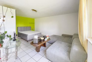 Spacieuse villa avec jardin, terrasses et studio indépendant à sous-louer