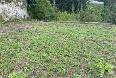 Plus que deux espaces disponibles! Découvrez un jardin, véritable havre de paix, en plein cœur de la ville de Fribourg !