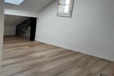 Idéal pour étudiant! Charmant appartement au centre de Fribourg