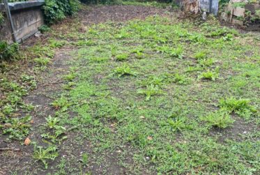 Plus que deux espaces disponibles! Découvrez un jardin, véritable havre de paix, en plein cœur de la ville de Fribourg !