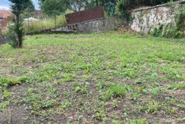 Plus que deux espaces disponibles! Découvrez un jardin, véritable havre de paix, en plein cœur de la ville de Fribourg !