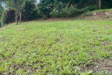 Plus que deux espaces disponibles! Découvrez un jardin, véritable havre de paix, en plein cœur de la ville de Fribourg !
