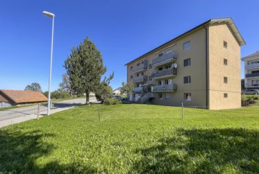 Appartement de 3.5 pièces rénové au calme