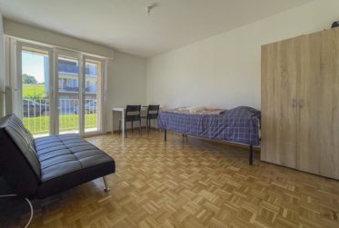 Appartement de 3.5 pièces rénové au calme