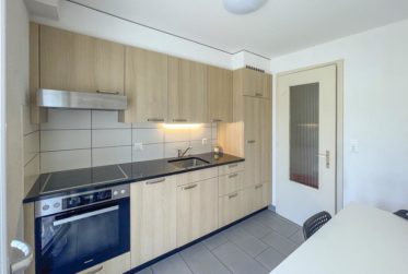 Appartement de 3.5 pièces rénové au calme