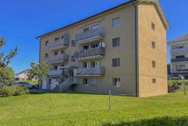 Appartement de 3.5 pièces rénové au calme
