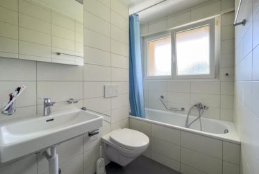 Appartement de 3.5 pièces rénové au calme