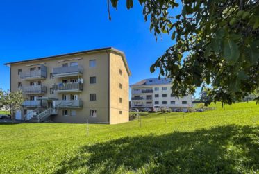 Appartement de 3.5 pièces rénové au calme