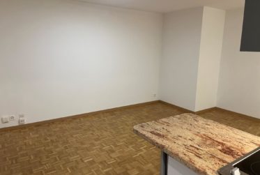 Opportunité à saisir : studio moderne et lumineux à Clarens