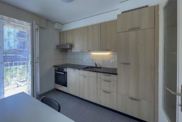 Appartement de 3.5 pièces rénové au calme