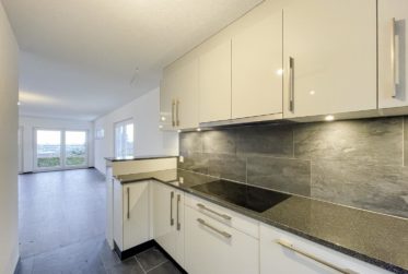 Lumière, jardin et vue lac – Villa familiale à Écublens