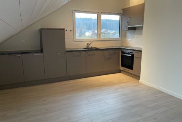 Charmant 2.5 pièces sous les combles – Lumineux avec balcon – Servion (VD)