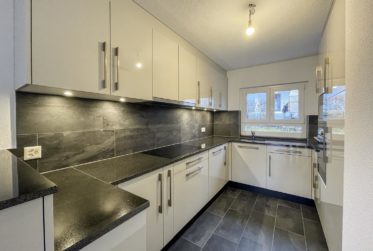 Lumière, jardin et vue lac – Villa familiale à Écublens