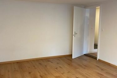 Appartement 2,5 pièces