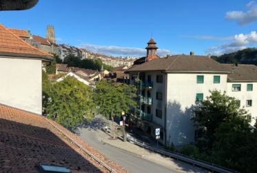 Appartement 2,5 pièces