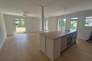 Appartement, Appartement PPE