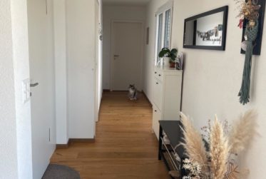 Magnifique appartement spacieux et lumineux à louer à Avenches